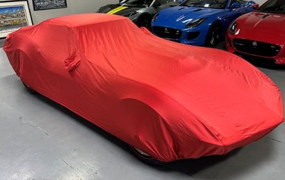 Join Us for the Rare Reveal Event!